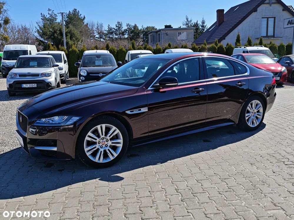 Jaguar XF E-Performance Pure - 3