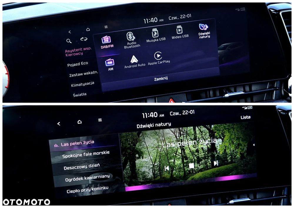 Kia Sportage 1.6 T-GDI PHEV GT Line 4WD - 39