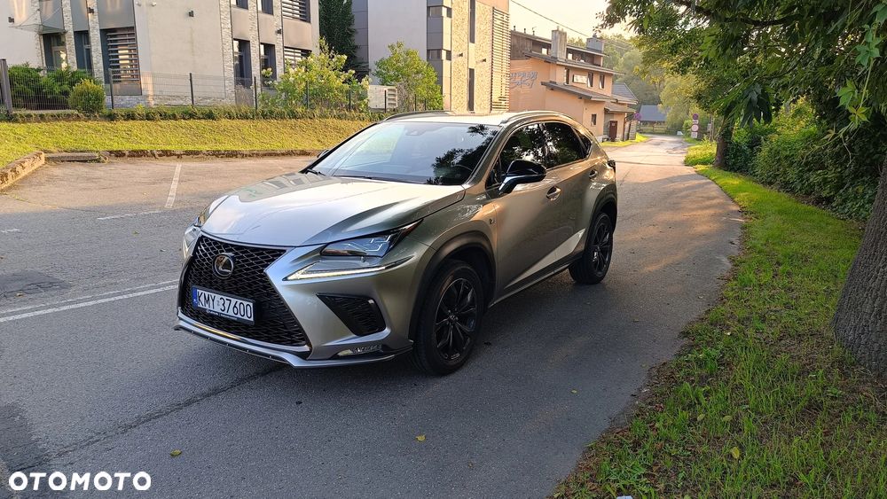 Lexus NX 300 GPF F Sport Edition AWD - 17