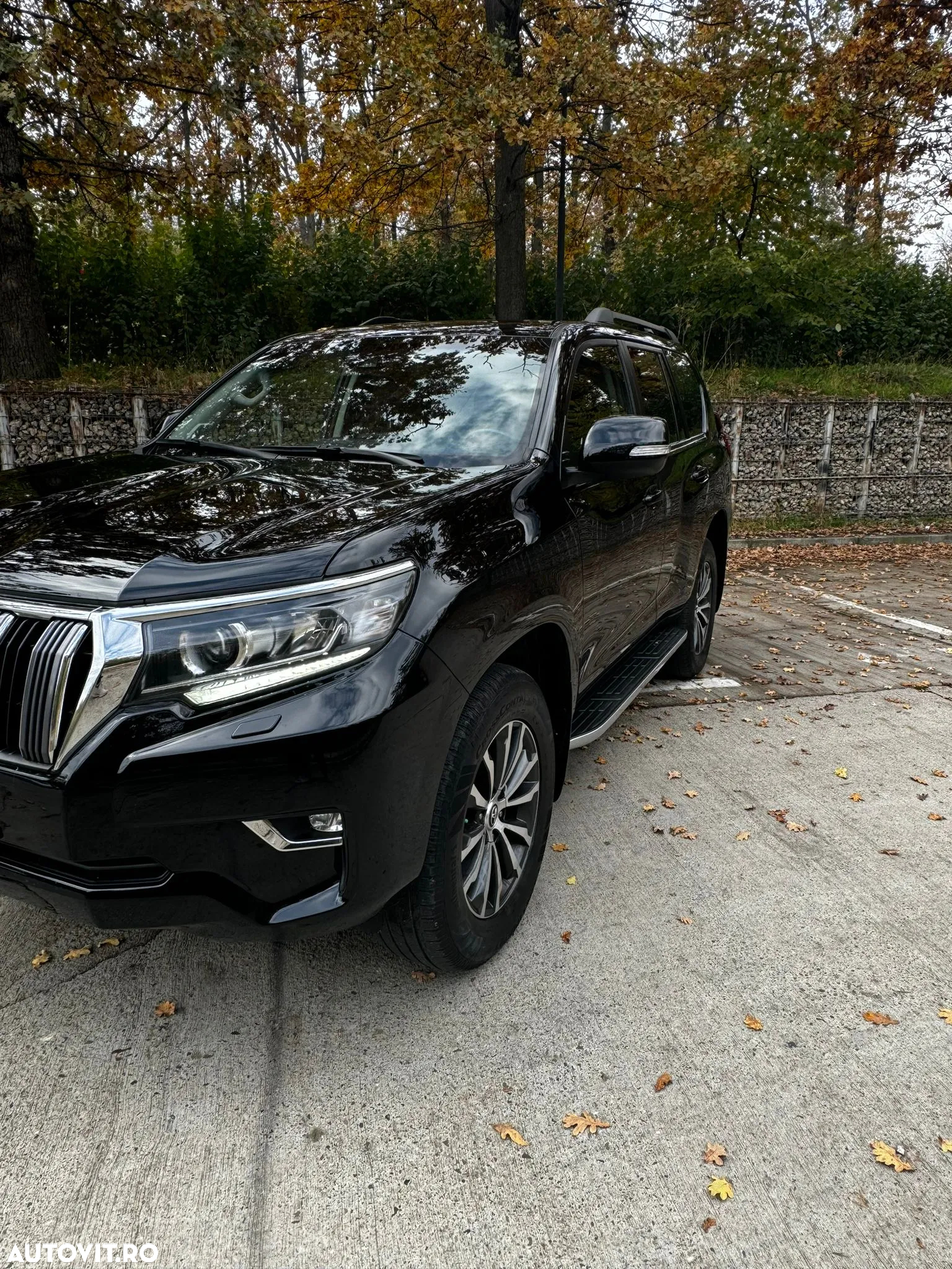 Toyota Land Cruiser 2.8l Turbo D-4D A/T Executive - 10