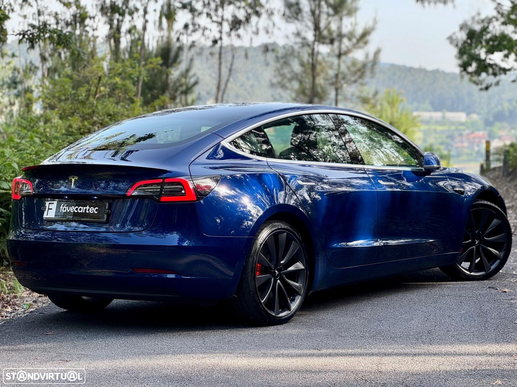Tesla Model 3 Performance Dual Motor AWD - 6