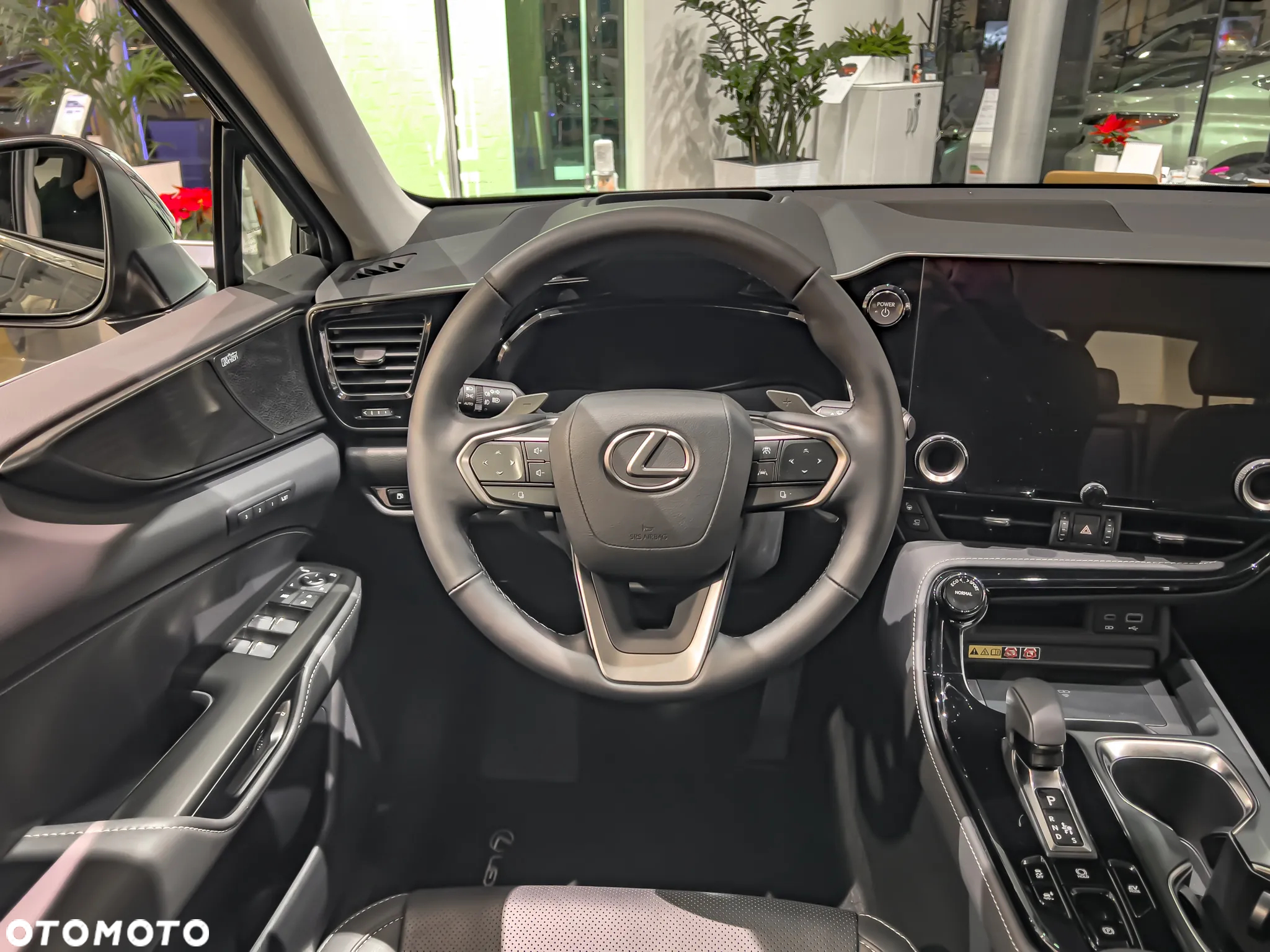 Lexus NX - 15
