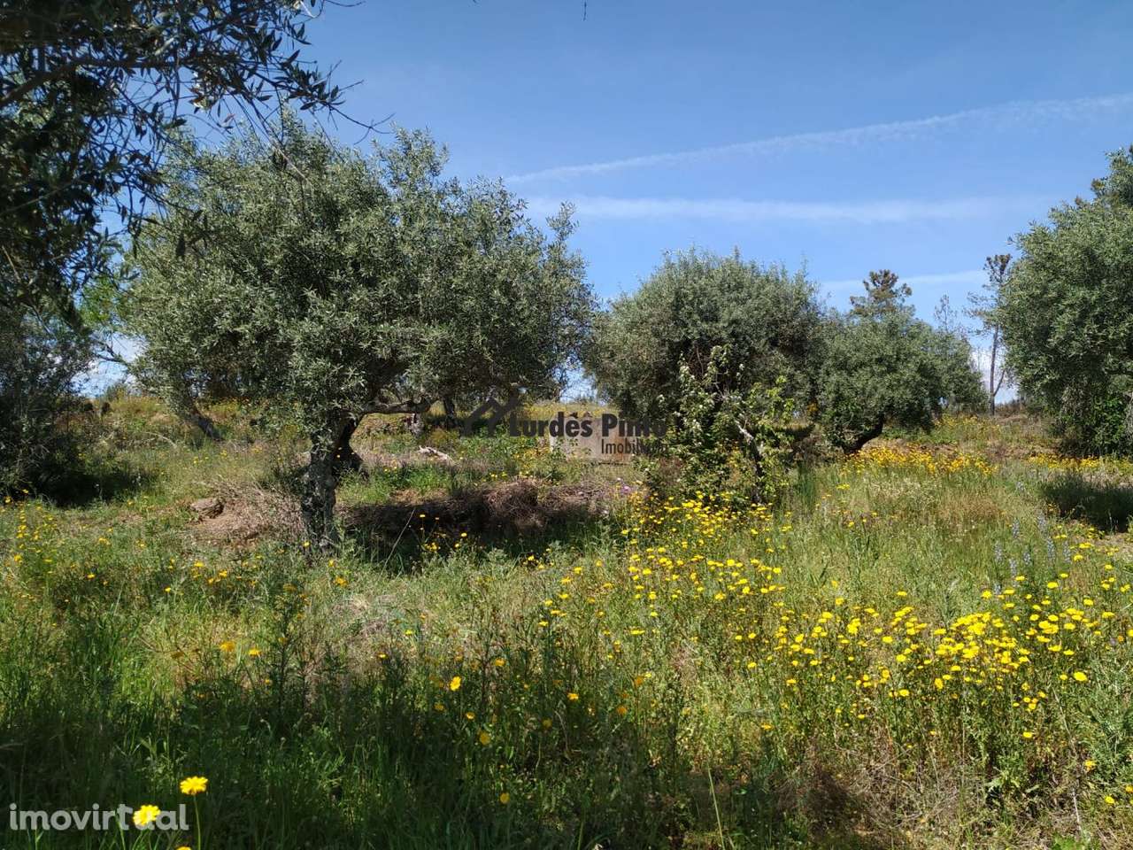 Terreno em Palvarinho - Grande imagem: 4/13
