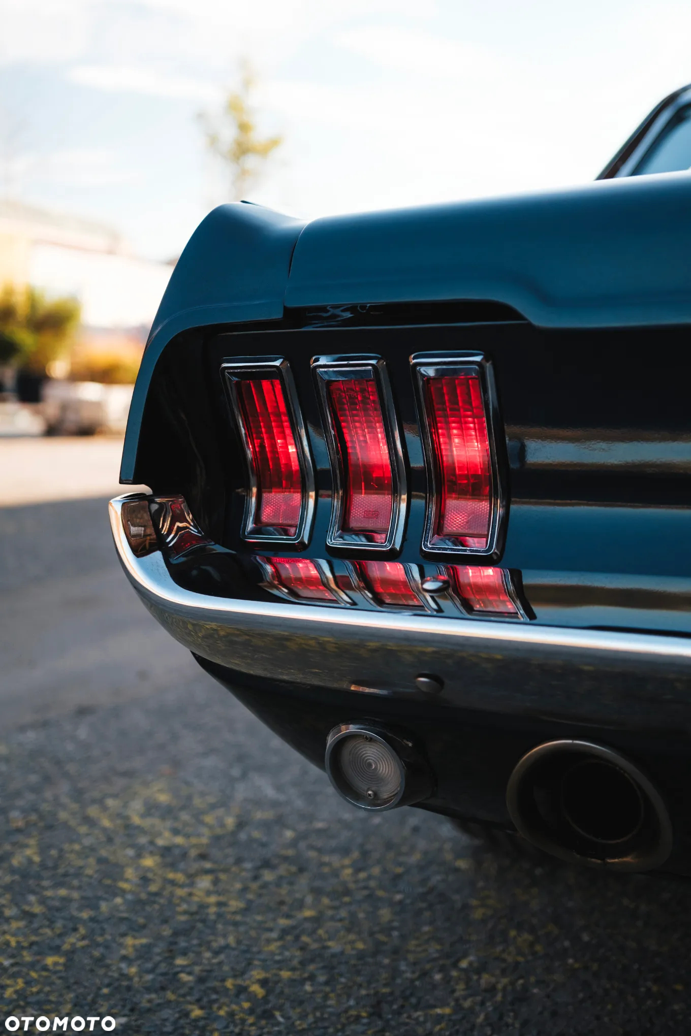 Ford Mustang - 18