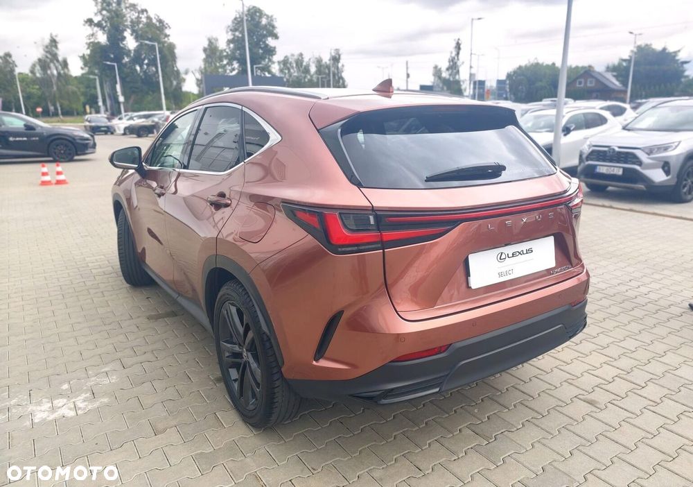 Lexus NX - 21