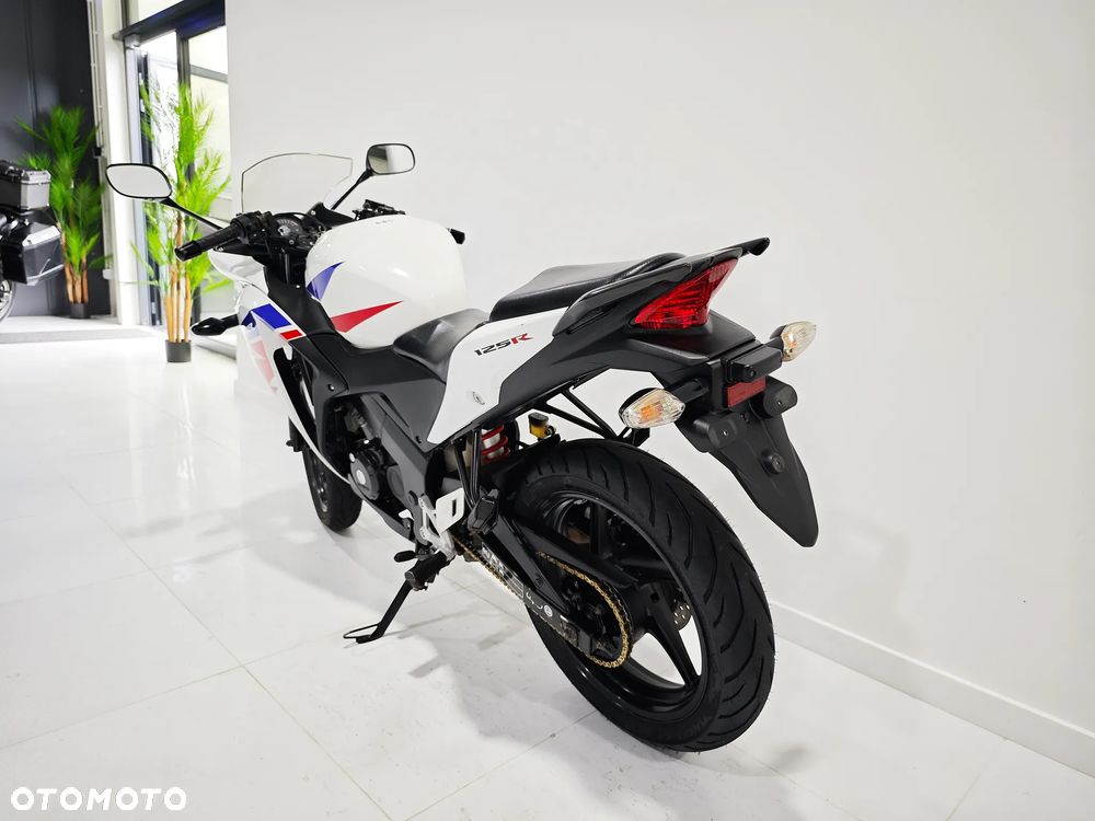 Honda CBR - 13