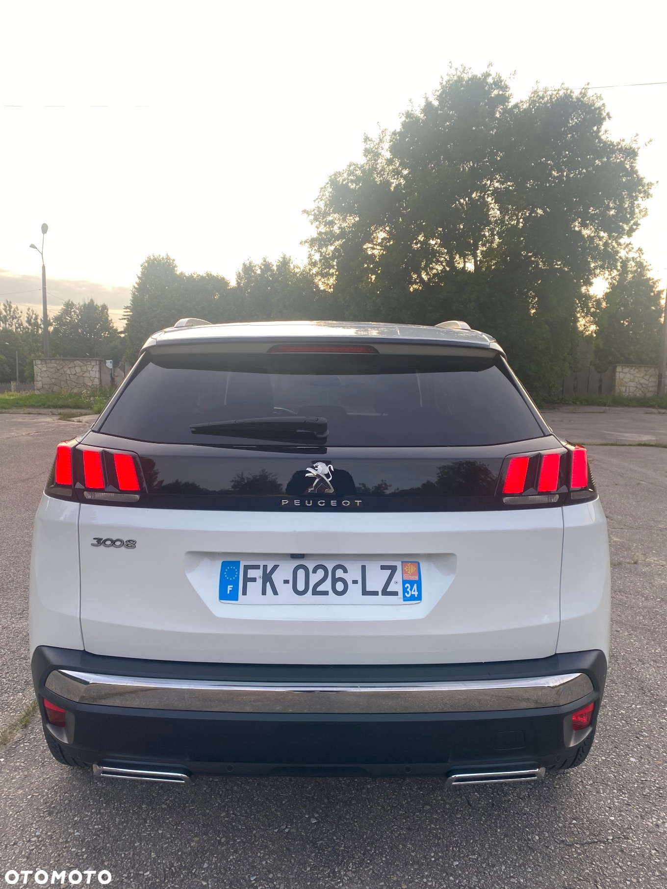 Peugeot 3008 - 5