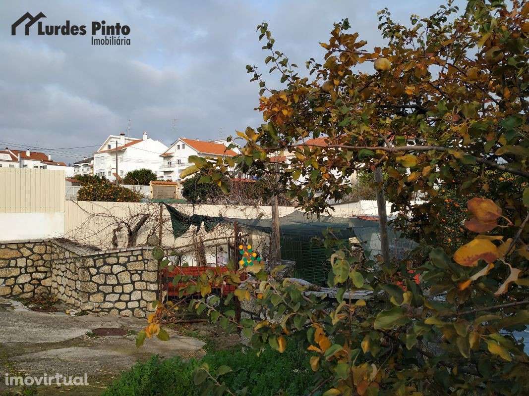 Lote urbano com 770 m2 - Grande imagem: 2/2