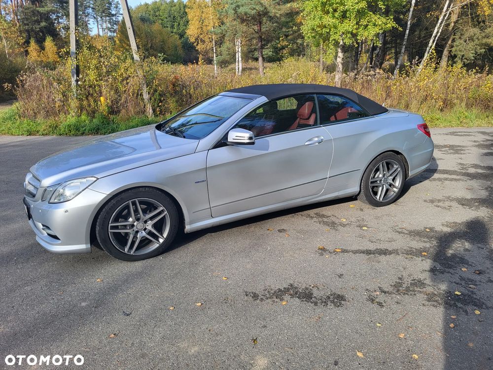 Mercedes-Benz Klasa E 350 CDI BlueEff - 19