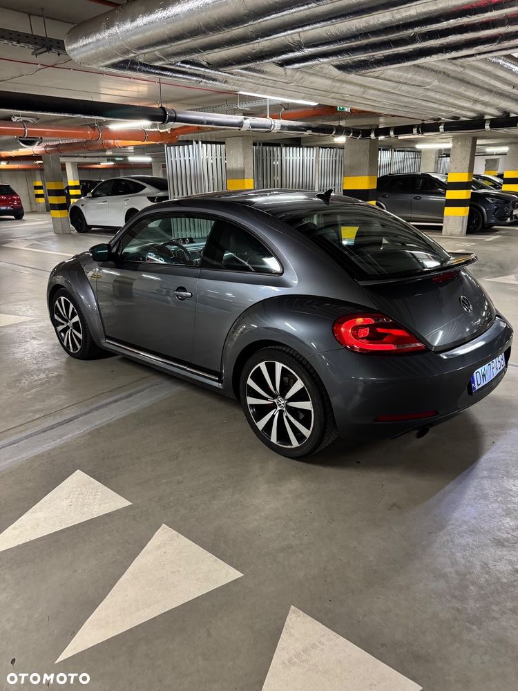 Volkswagen Beetle - 3