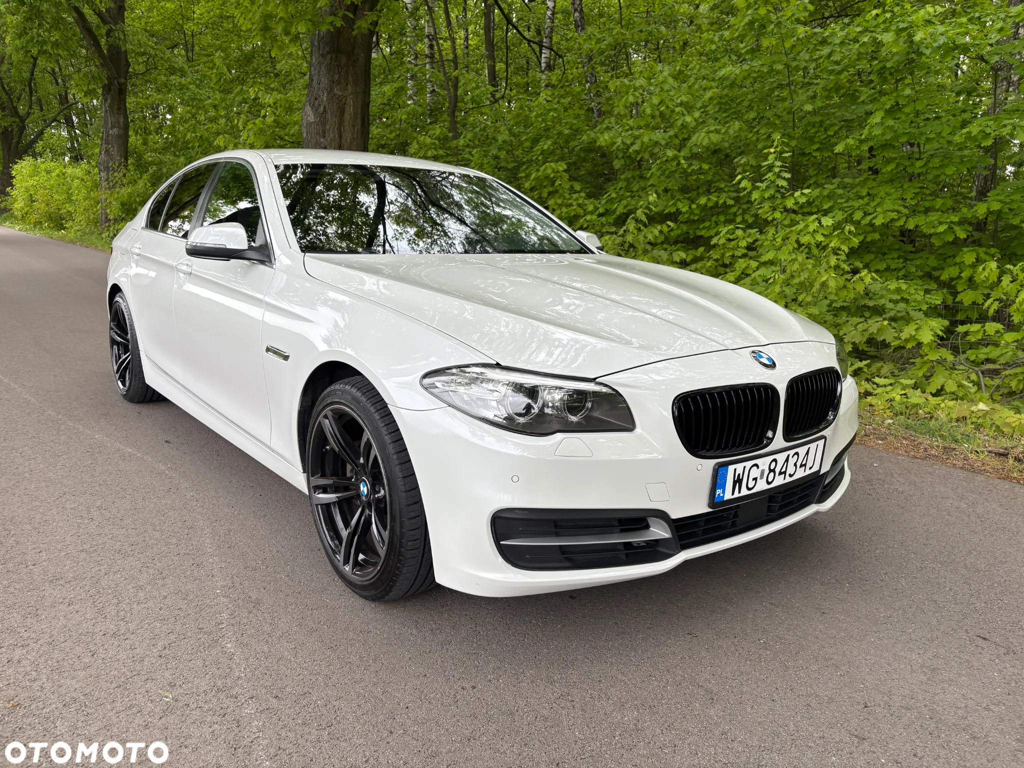 BMW Seria 5 520d - 34