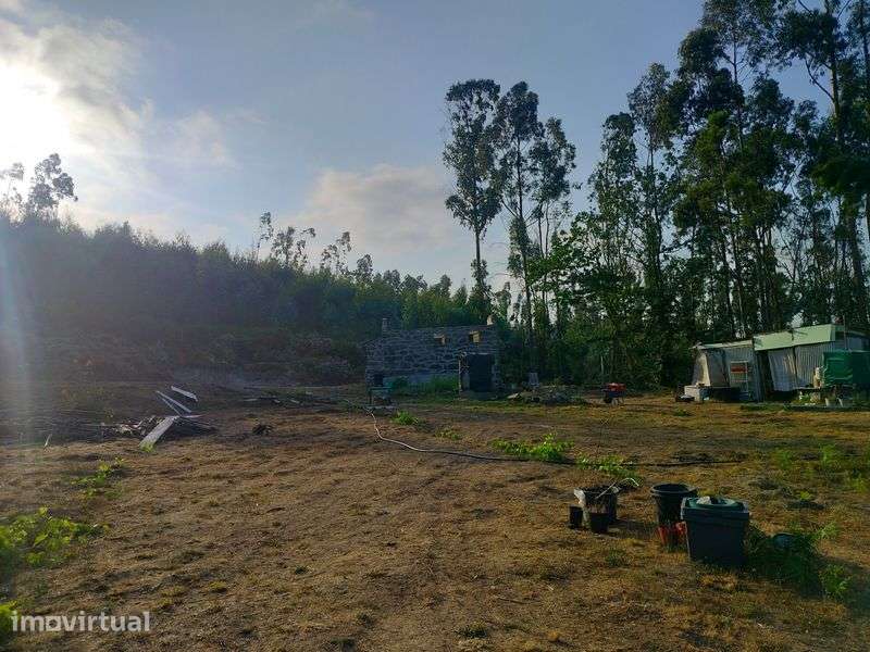 terreno para viver em off grid - Grande imagem: 4/12