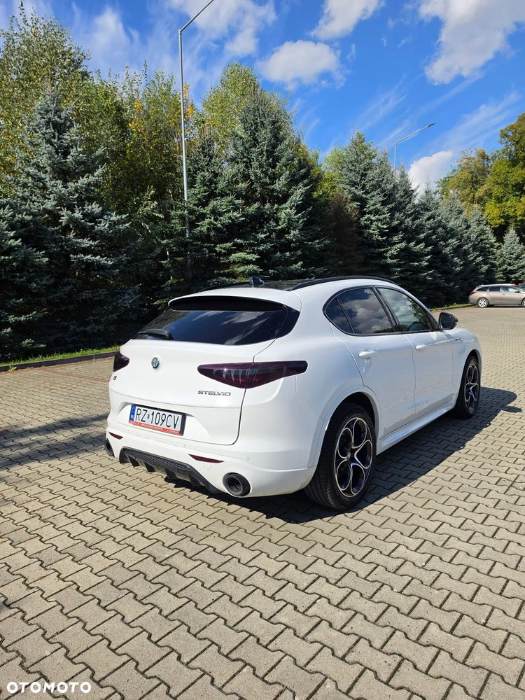 Alfa Romeo Stelvio 2.0 Turbo Veloce Q4 - 8