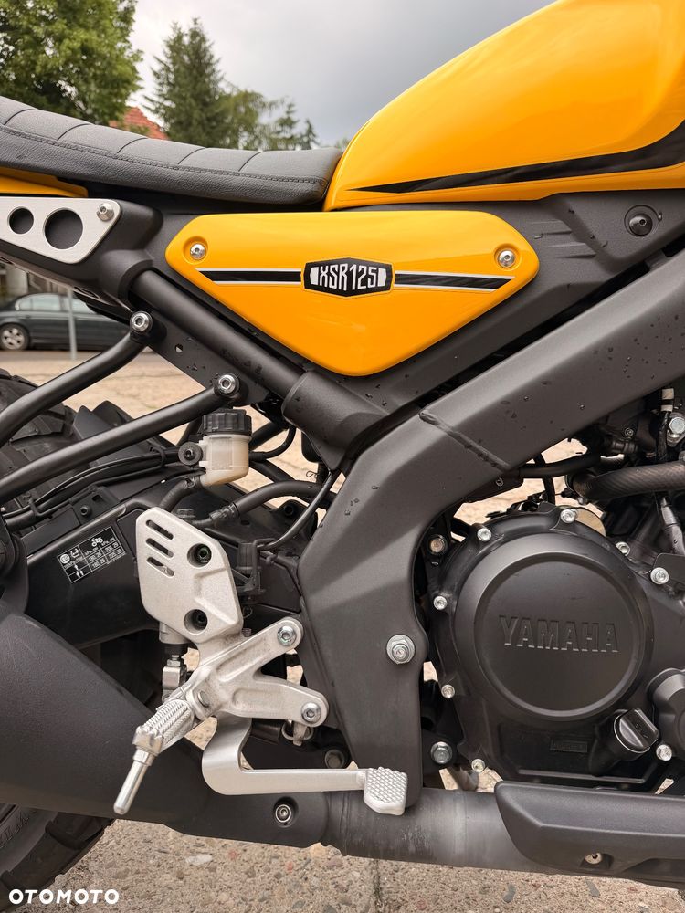 Yamaha XSR - 8