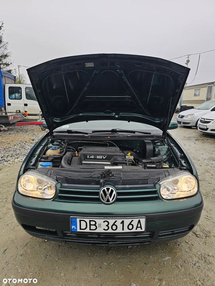 Volkswagen Golf IV 1.4 Basis - 19