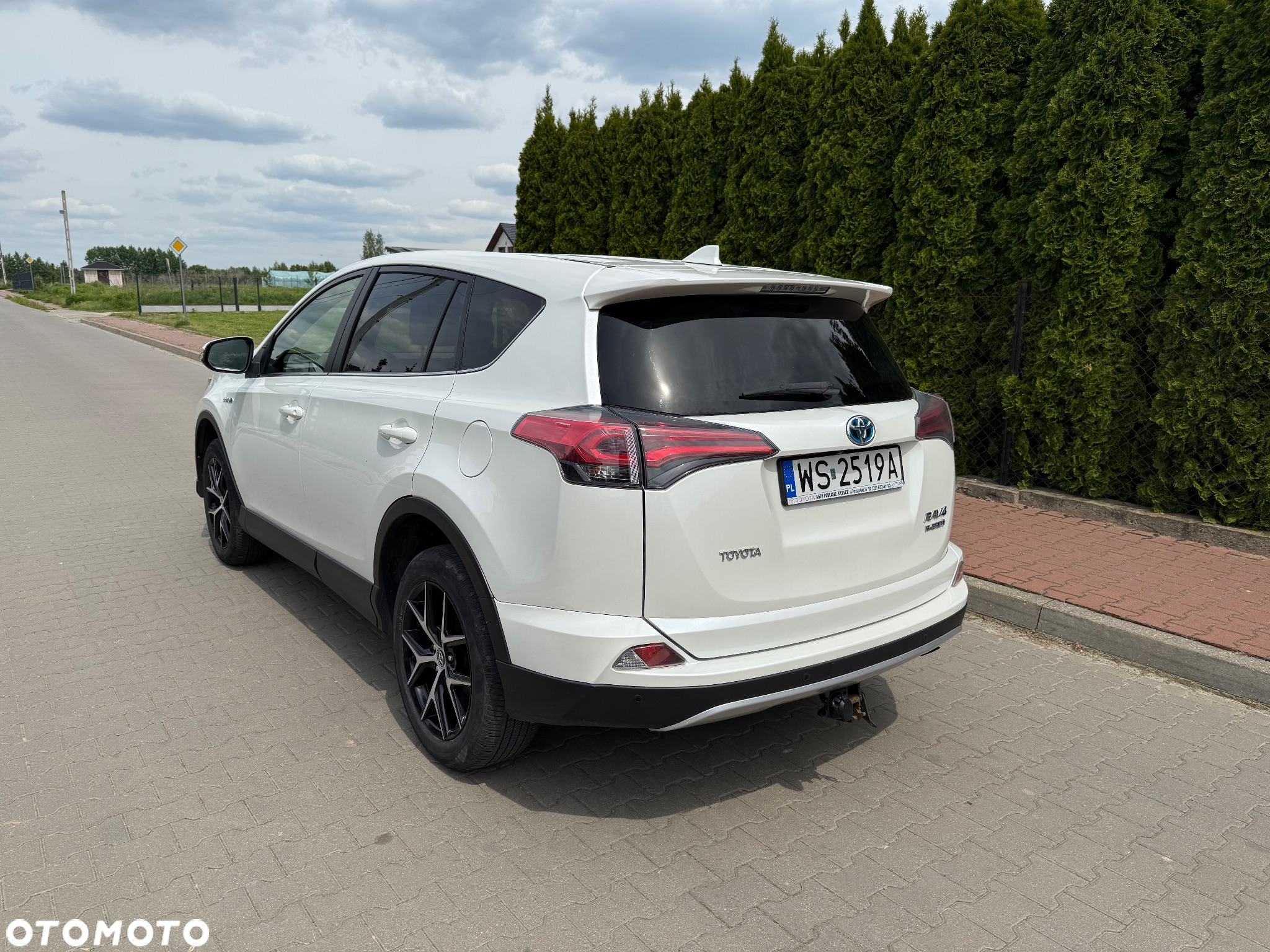 Toyota RAV4 Hybrid Premium 4x2 - 3