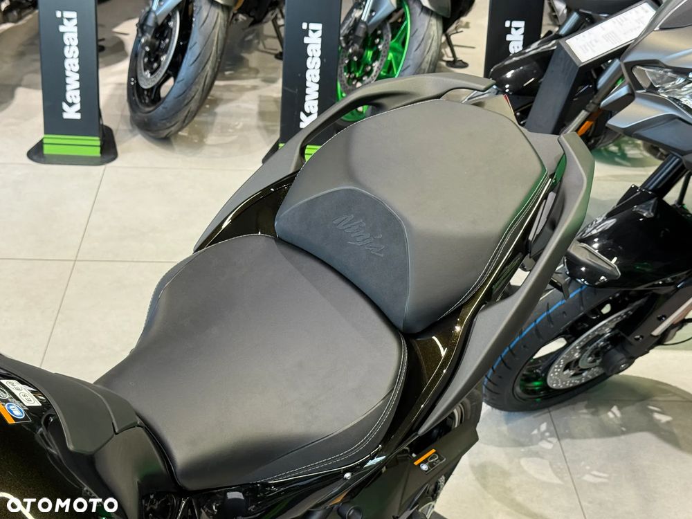 Kawasaki Ninja H2 SX - 15