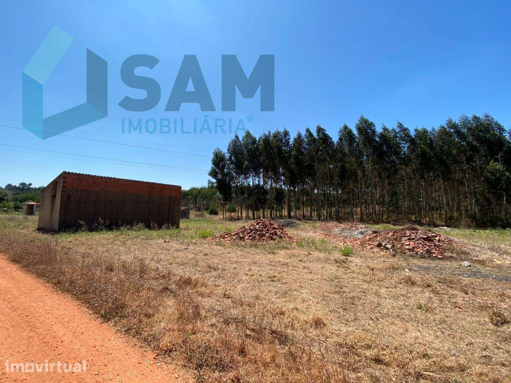 Refúgio no Campo: Casa Antiga com Terreno Plano e Eucaliptos - Grande imagem: 5/8