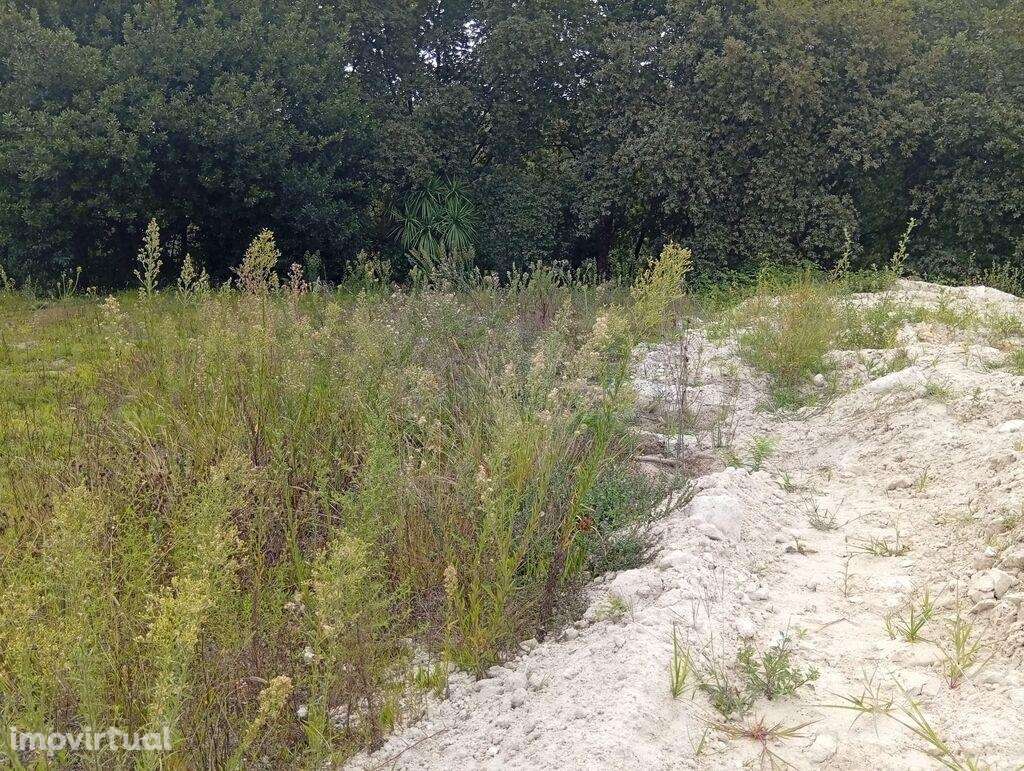 Terreno T3 em Barcelos, Vila Boa e Vila Frescainha (São Martinho e São - Grande imagem: 4/28