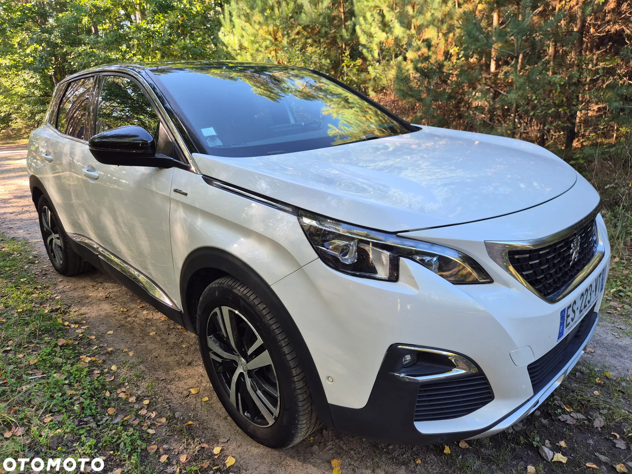 Peugeot 3008 - 14