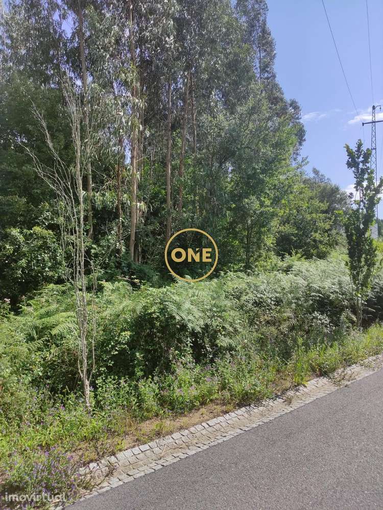 Venda Terreno - Grande imagem: 3/5