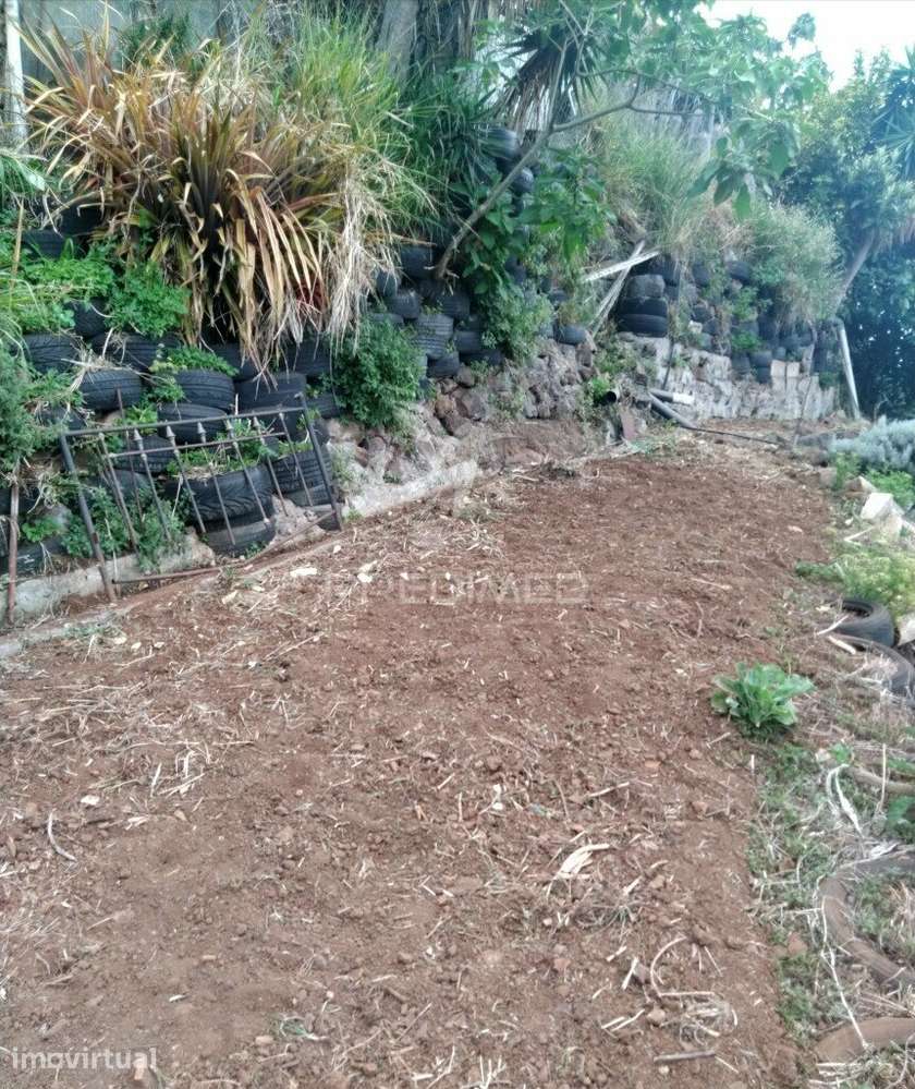 Terreno rústico em  Água de  pena . - Grande imagem: 2/7