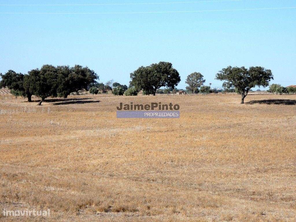 Propriedade, herdade, 211ha, Alentejo, Aljustrel. Portugal, Beja, B... - Grande imagem: 5/9