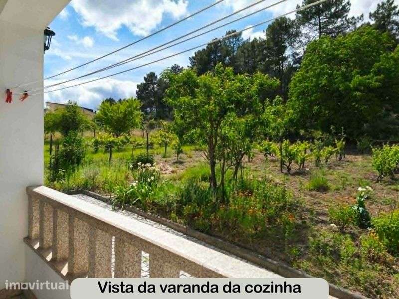 Aluga-se Apt- T3, Flores Vila Real - Grande imagem: 4/12