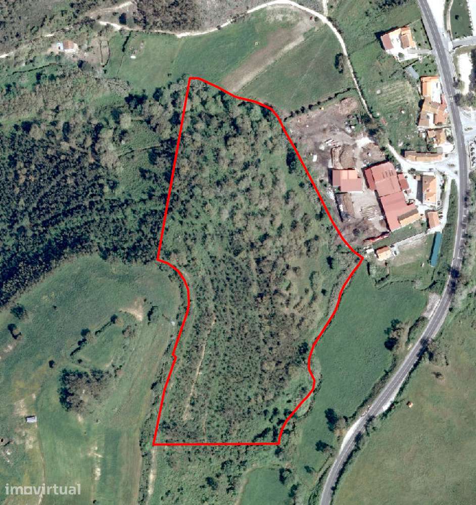 Refúgio Natural com Quase 7 Hectares no Gradil, Mafra - Grande imagem: 3/31