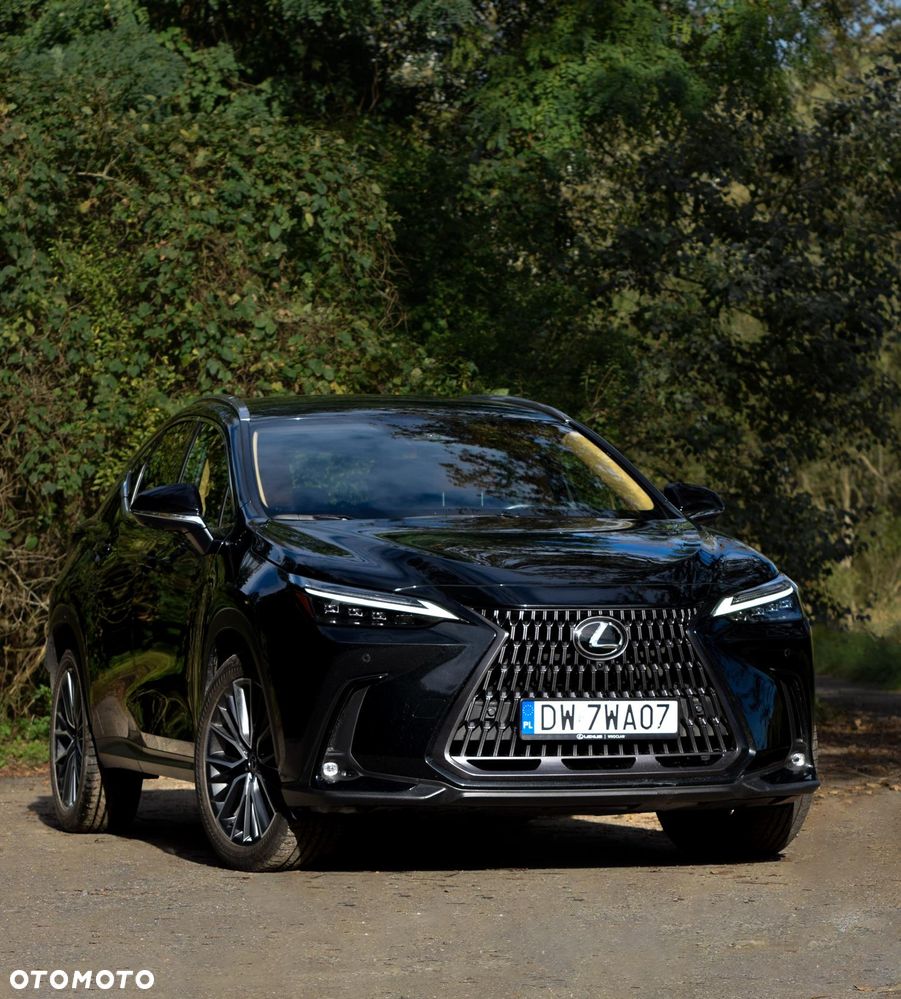 Lexus NX 350h Omotenashi AWD - 2