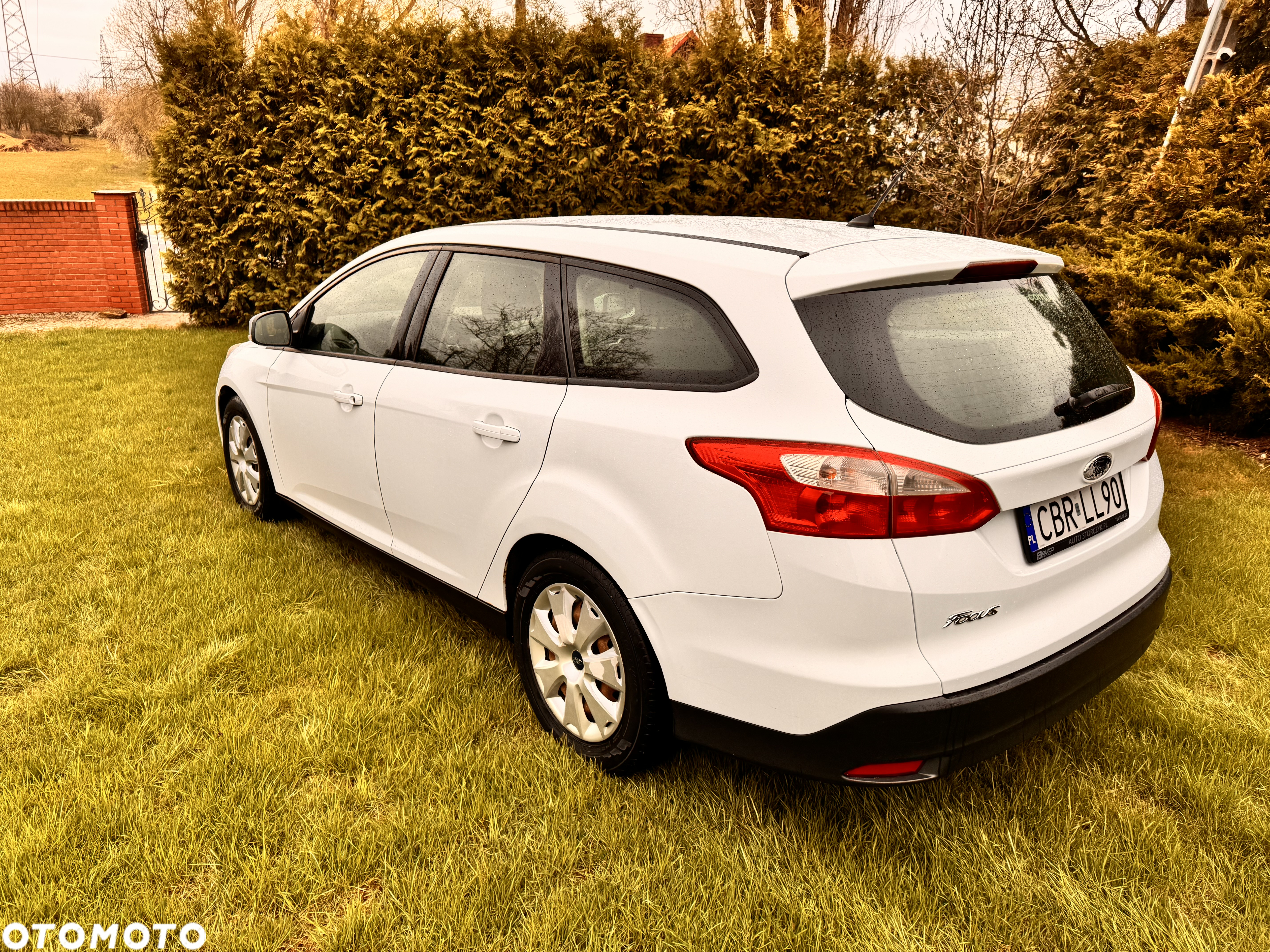 Ford Focus 1.6 TDCi Ambiente - 17