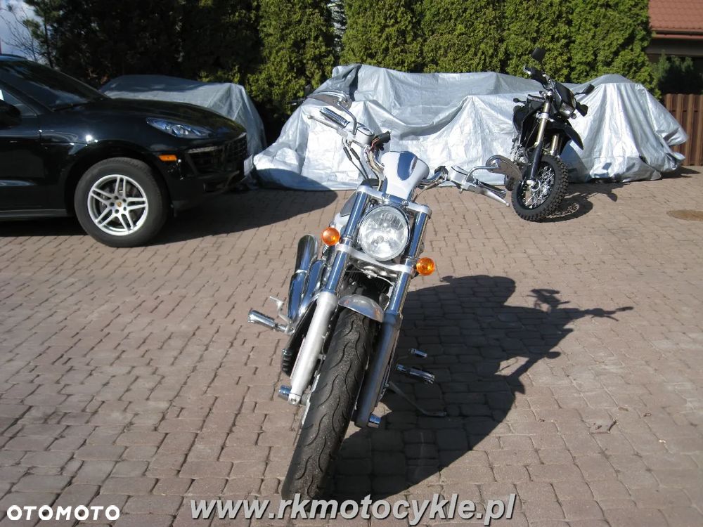 Harley-Davidson Softail V-Rod - 8