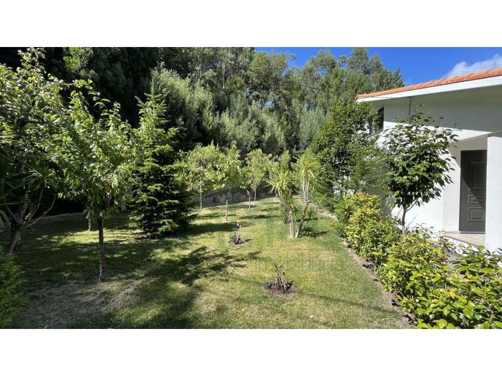 Moradia T4 com jardim no alto do Coto da Pena. - Grande imagem: 5/41