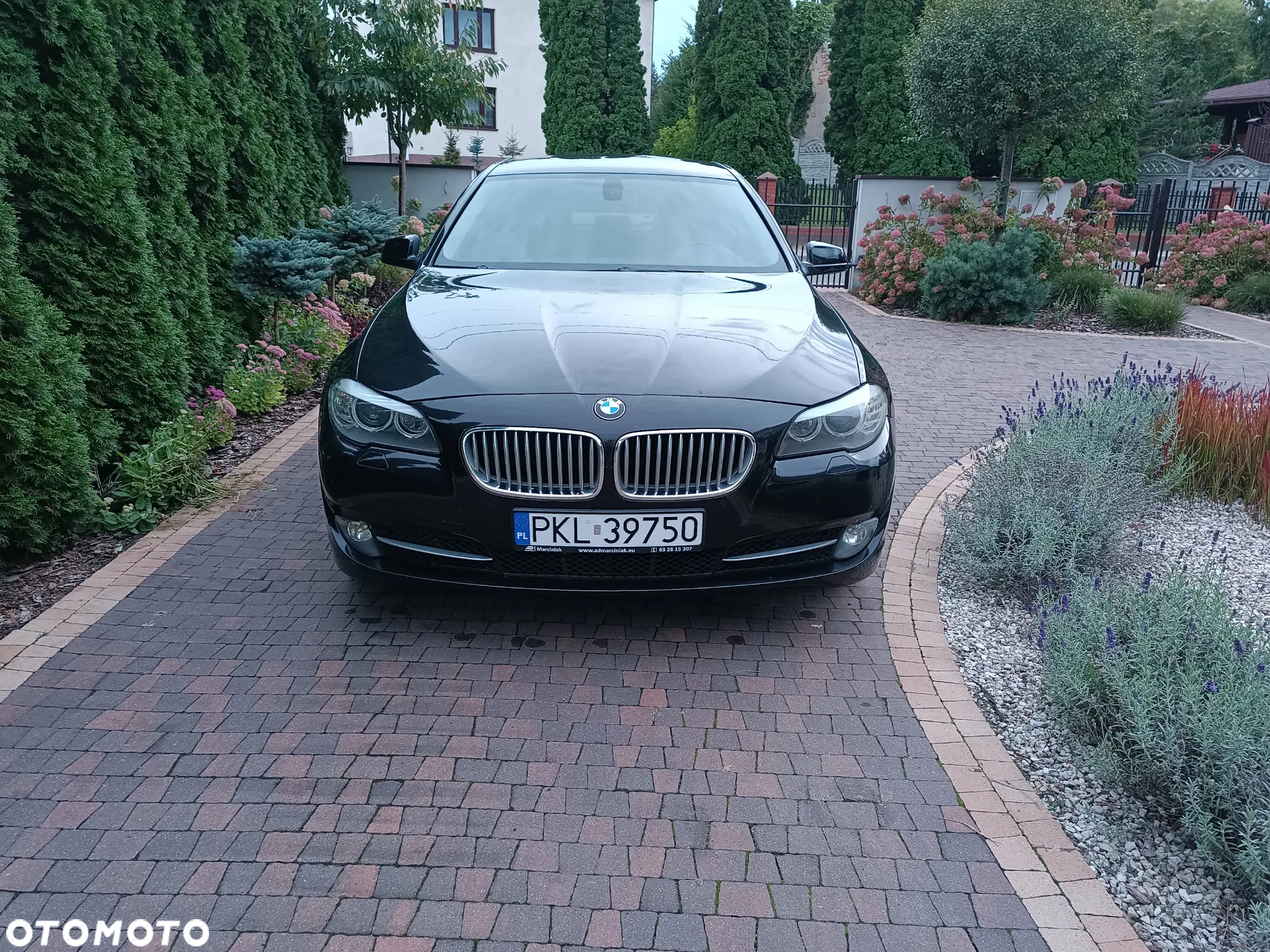 BMW Seria 5 520d - 24