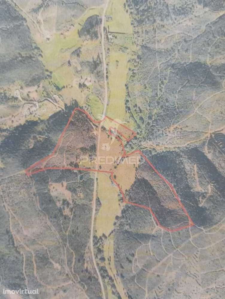 Terreno com Ruina Tojeiro - Grande imagem: 5/5