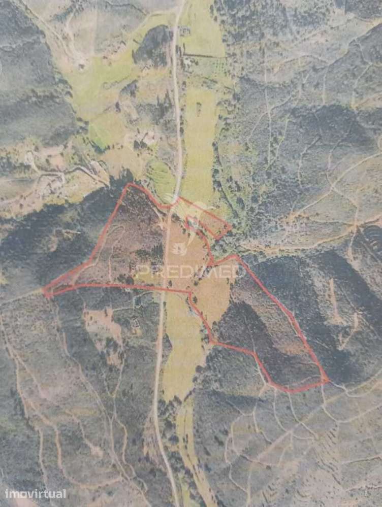 Terreno com Ruina Tojeiro - Grande imagem: 5/5