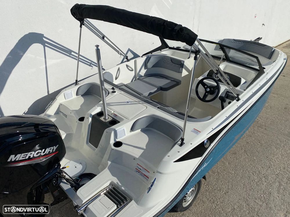 Bayliner Element M17 - 10