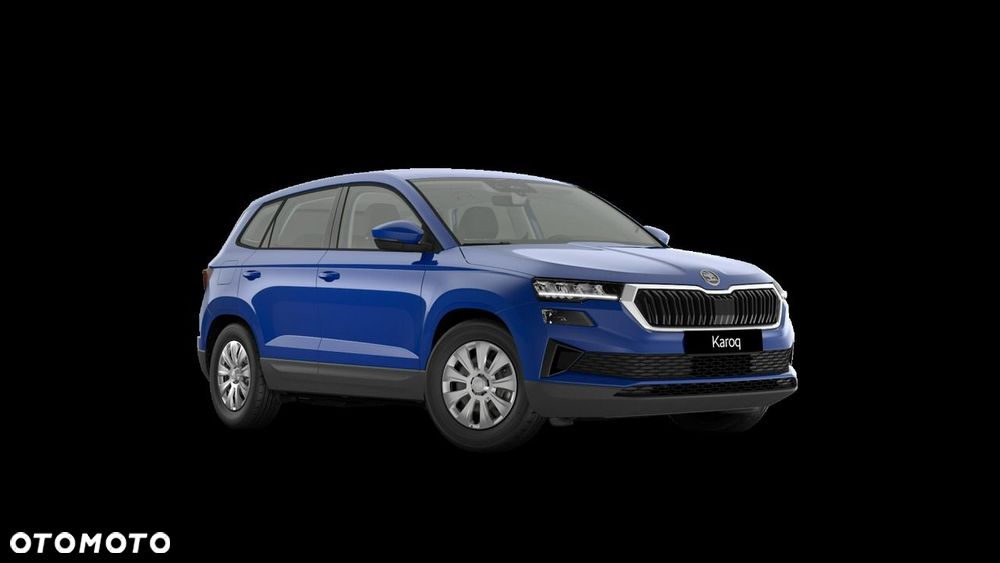 Skoda Karoq - 2