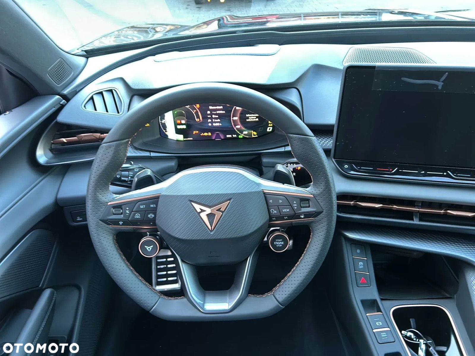 Cupra Terramar - 13