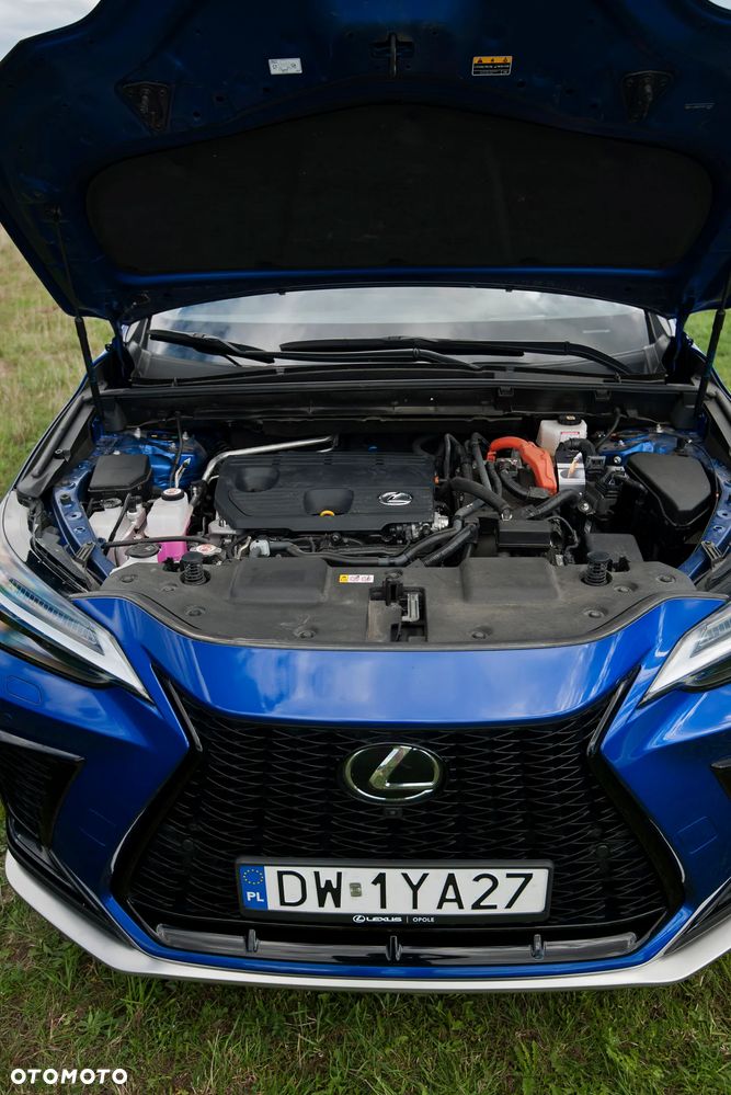 Lexus NX 350h F Sport AWD - 7