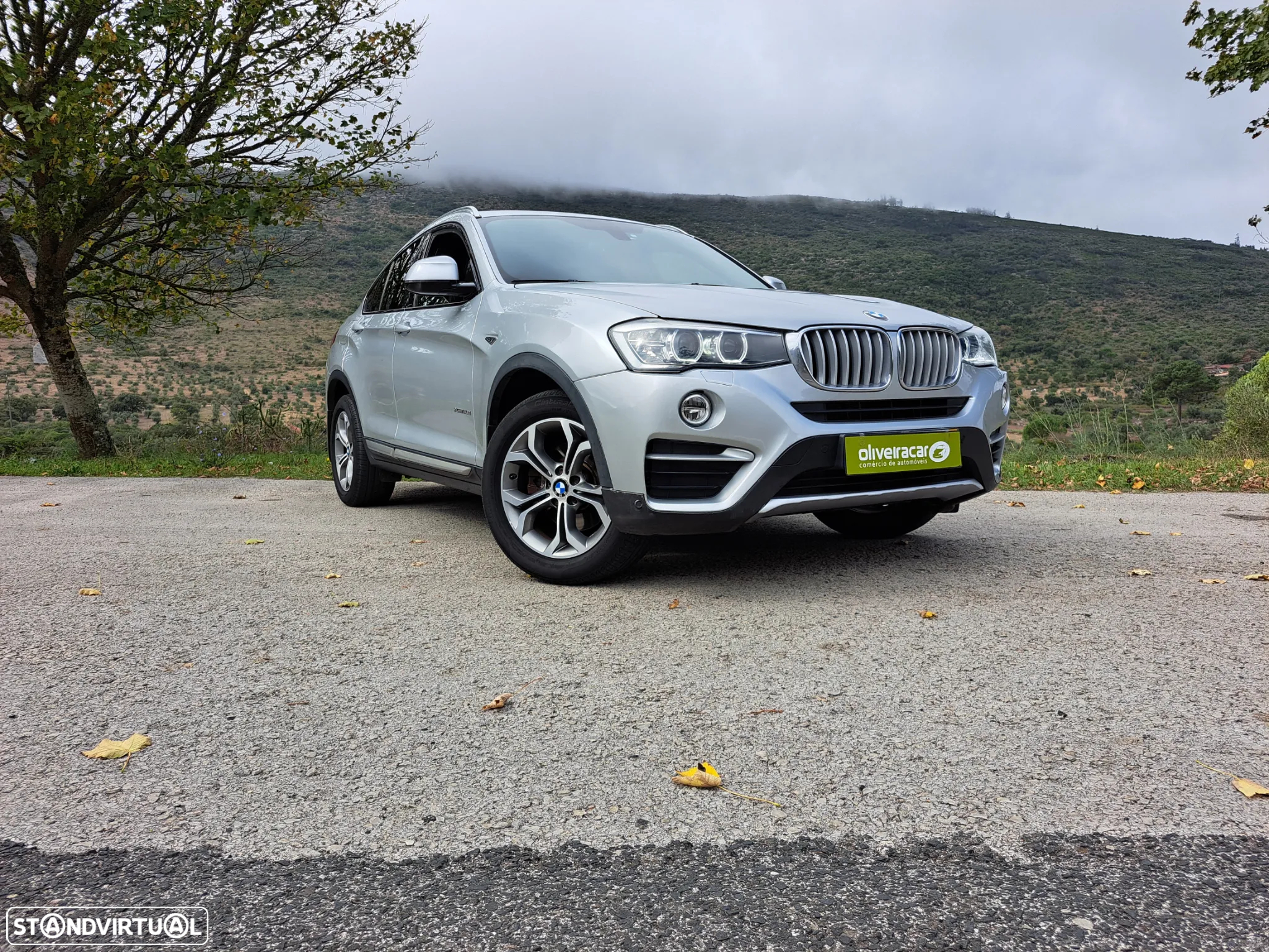 BMW X4 20 d xDrive XLine Auto - 14