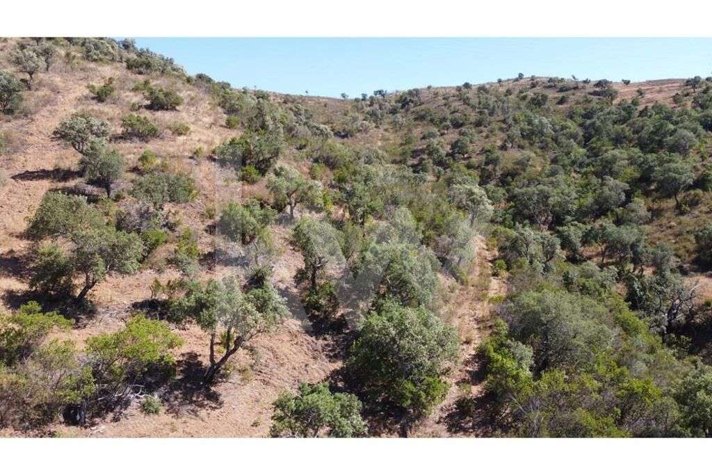 Quinta em Vale do Lobo - Grande imagem: 2/24