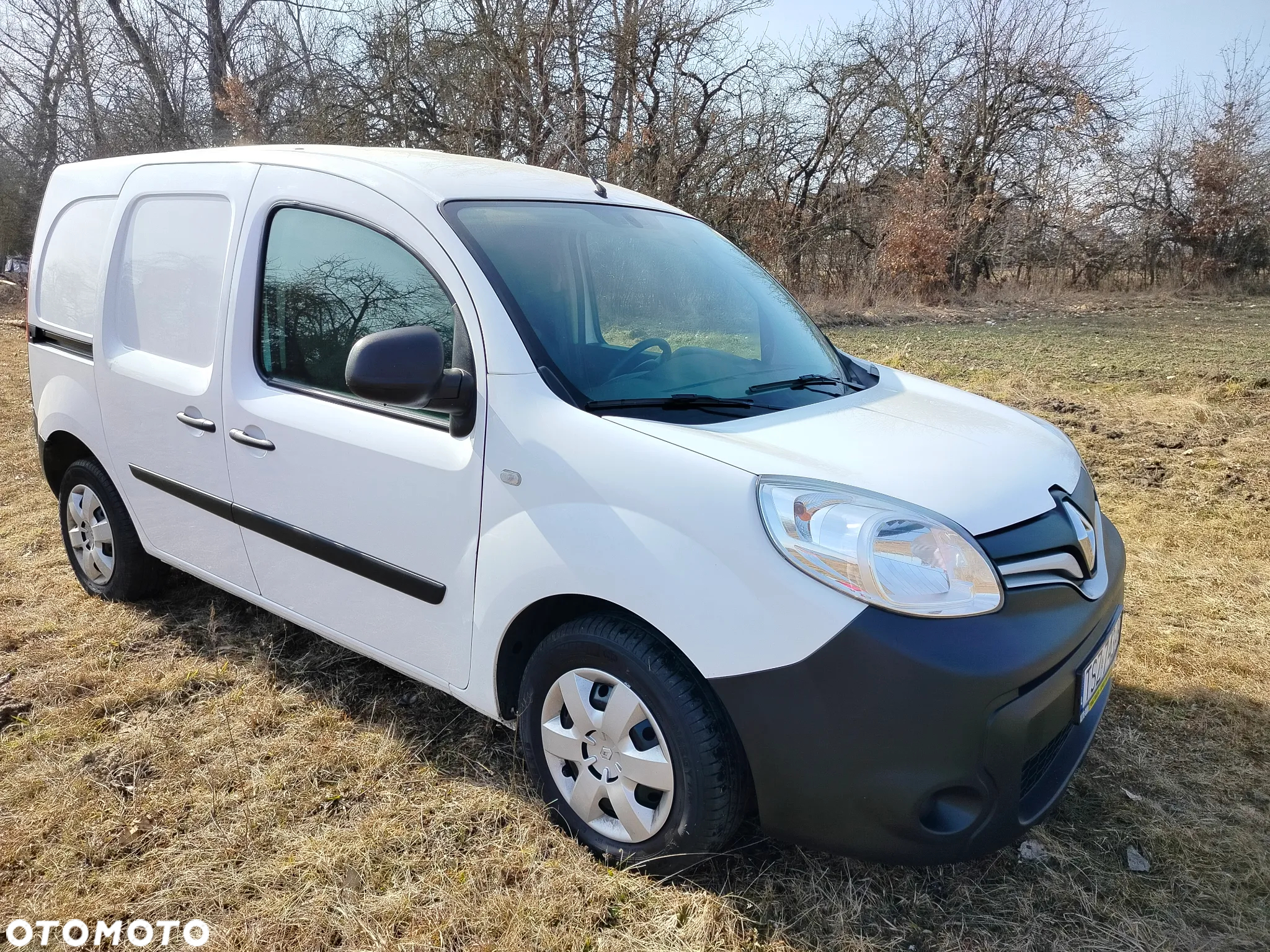 Renault Kangoo - 2