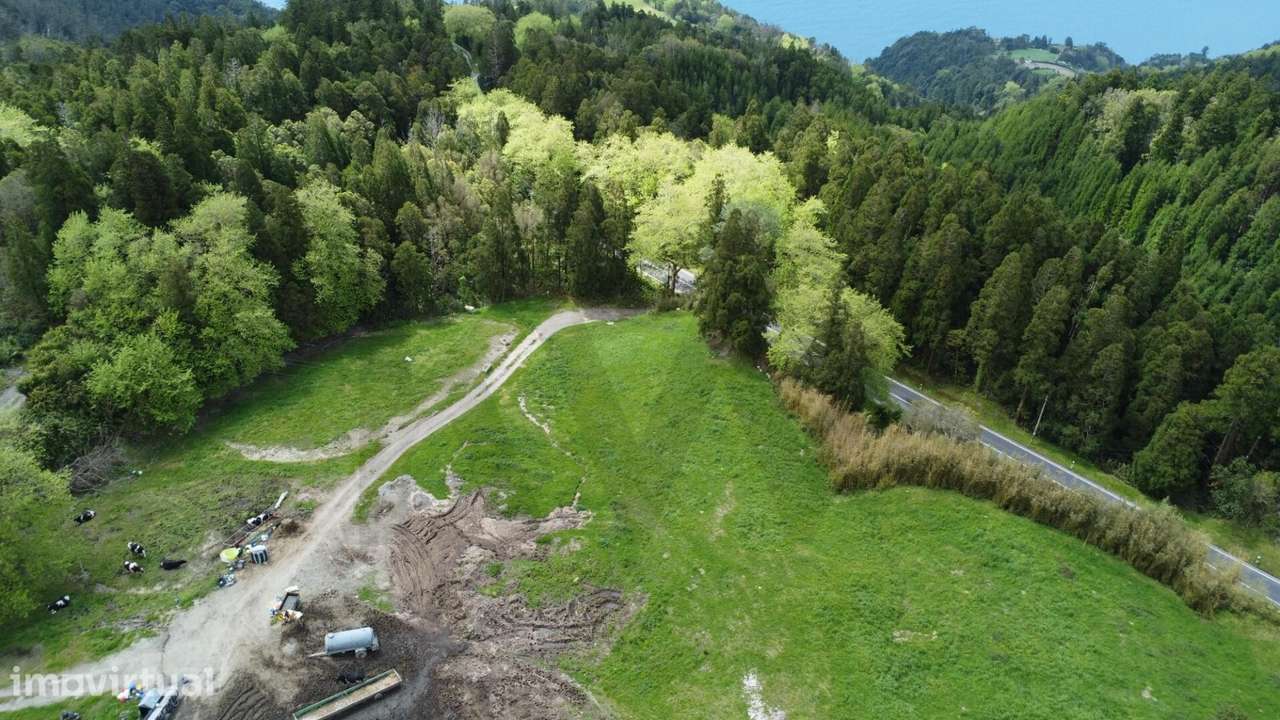Terreno Rústico com 6,8 Hectares e Rendimento Imediato – Ponta Garça - Grande imagem: 3/9