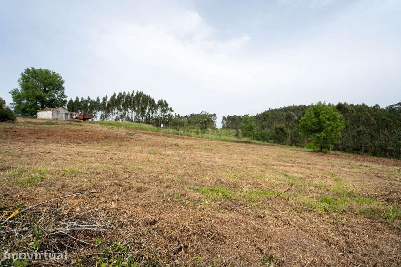 Terreno com furo de água e duas pequenas edificações em ruina para rea - Grande imagem: 4/20