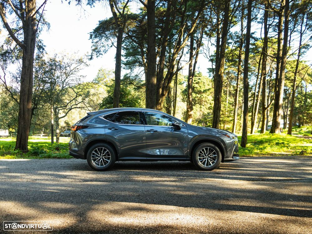 Lexus NX 350h Executive+ - 7