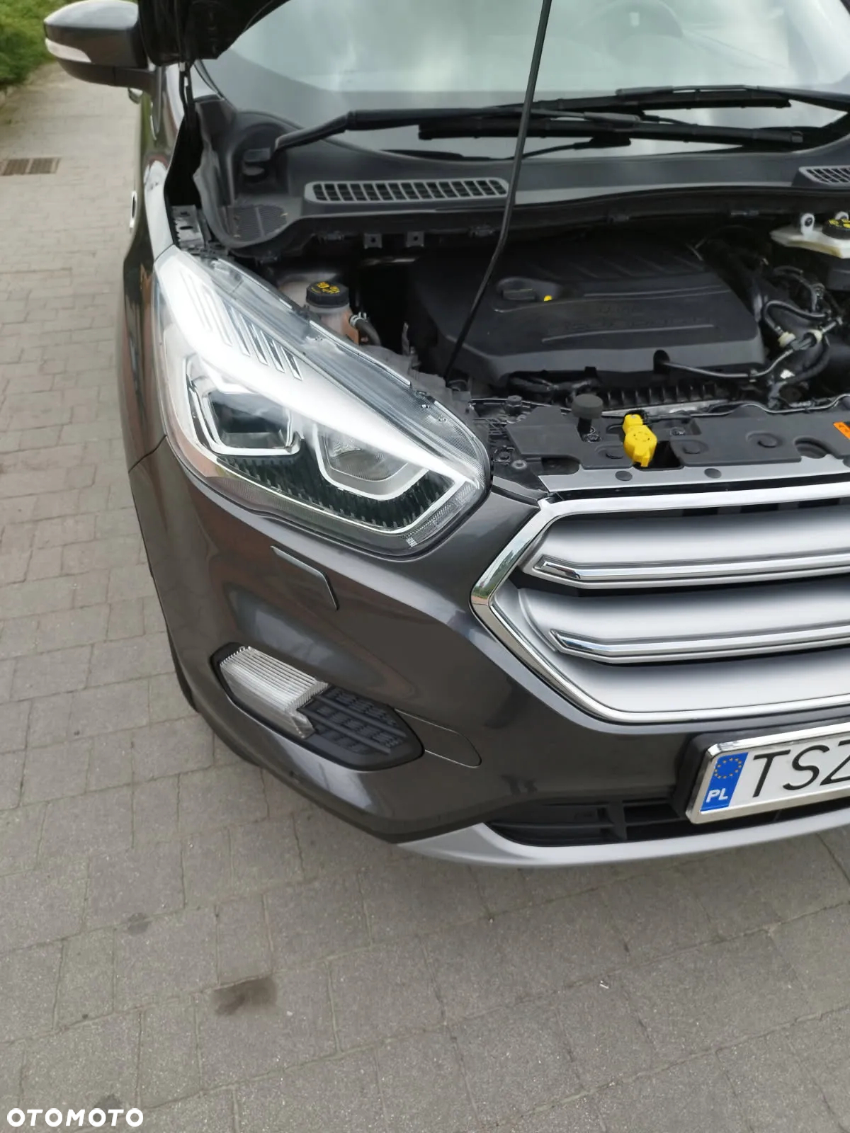 Ford Kuga 1.5 EcoBoost 2x4 Titanium - 17