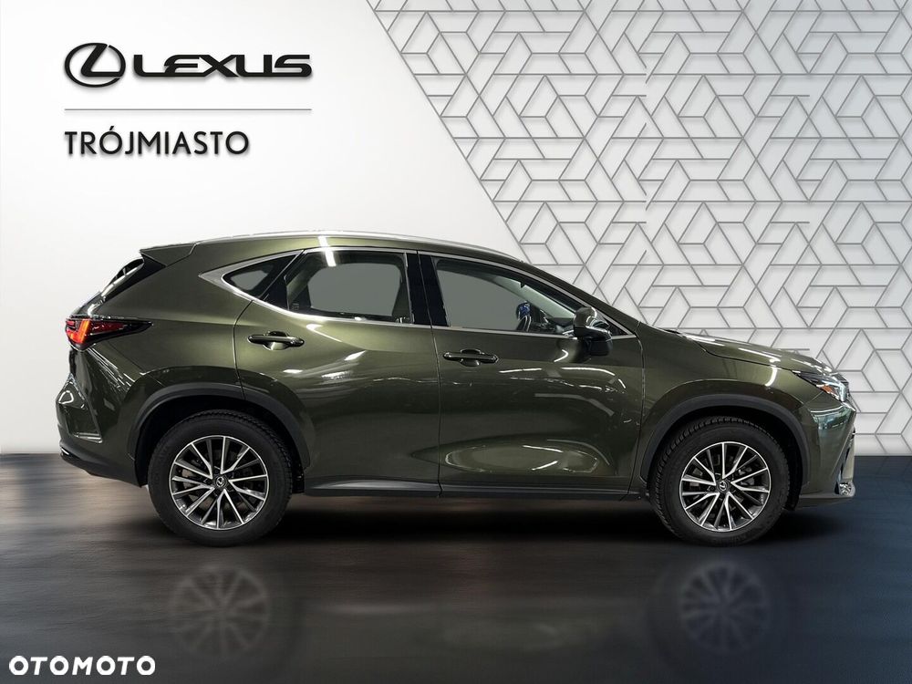 Lexus NX 350h Business AWD - 7