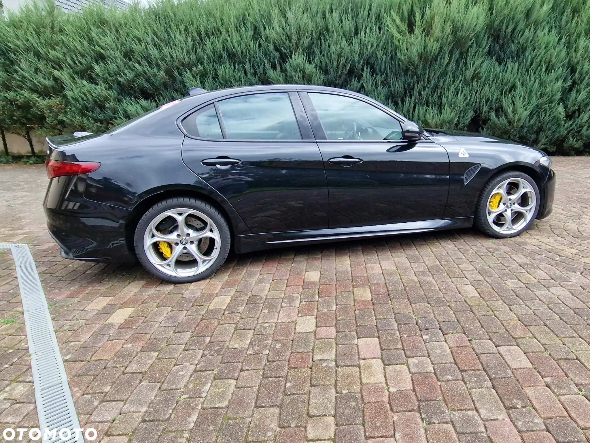 Alfa Romeo Giulia 2.9 V6 Bi-Turbo AT8 Quadrifoglio - 2