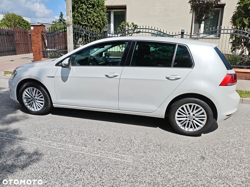 Volkswagen Golf 1.6 TDI BlueMotion Technology Cup - 8